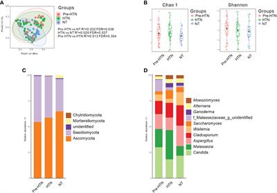 Gut mycobiome dysbiosis contributes to the development of hypertension and its response to immunoglobulin light chains